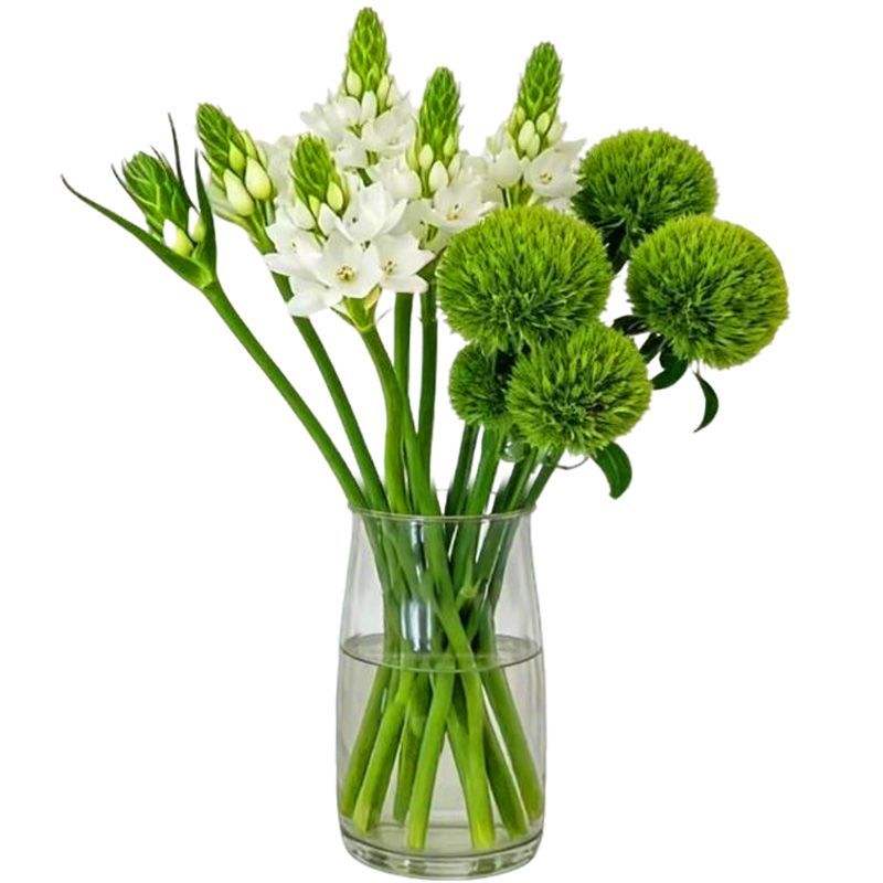 ȸ÷ �ʻ� ��ë�����ϻ���ֱ�� ȸ÷6֧+��ë��6֧ 10.63Ԫ