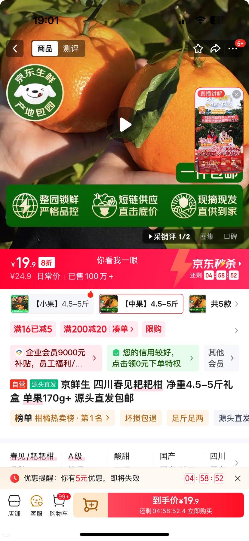 ������ �Ĵ������ҰҸ� ����4.5-5����� ����170g+ Դͷֱ�������Ż�֤��