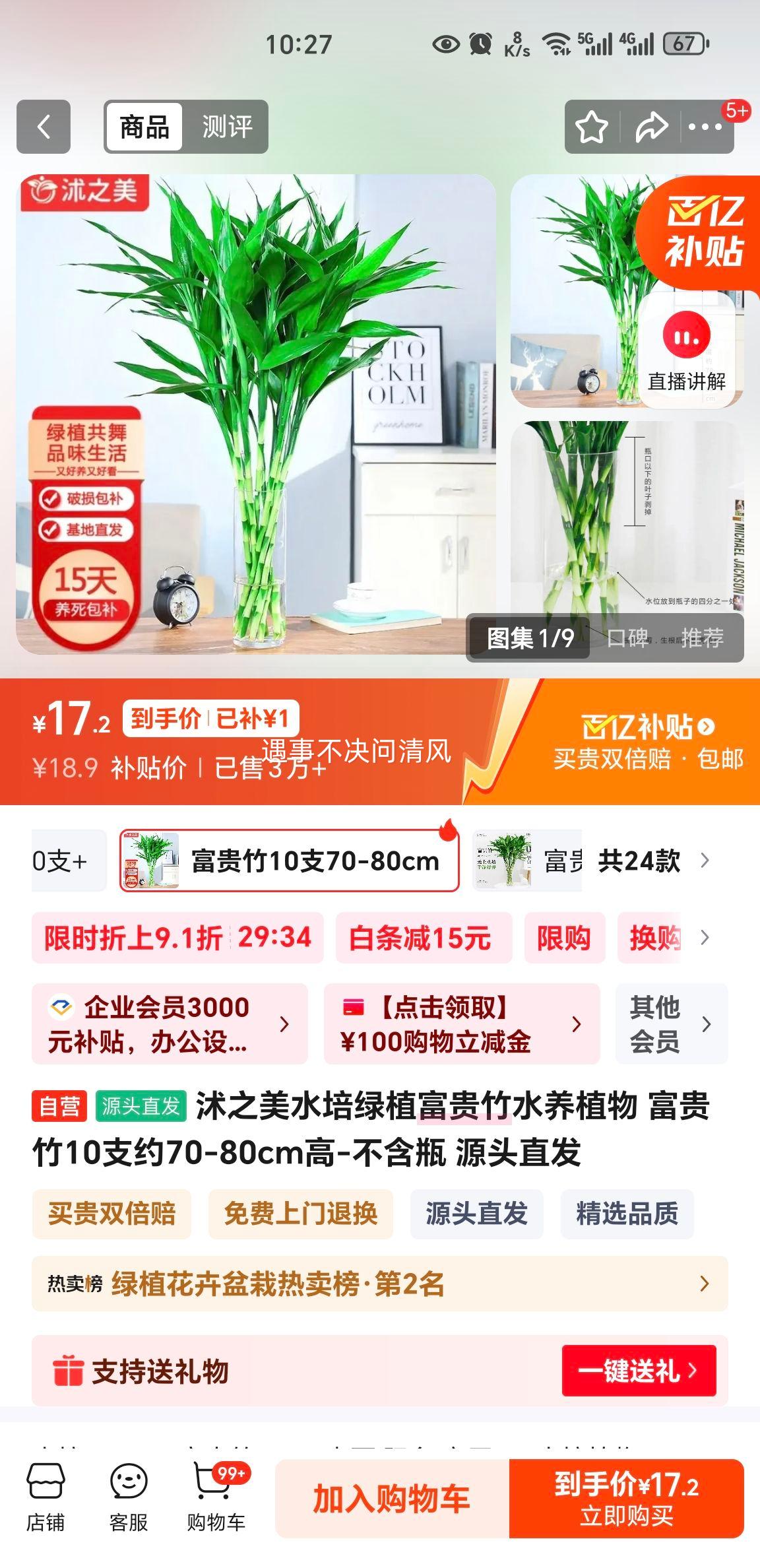 ��֮�� ������ˮ��ֲ�� 10֧Լ70-80cm�� ����ƿ Դͷֱ���Ż�֤��