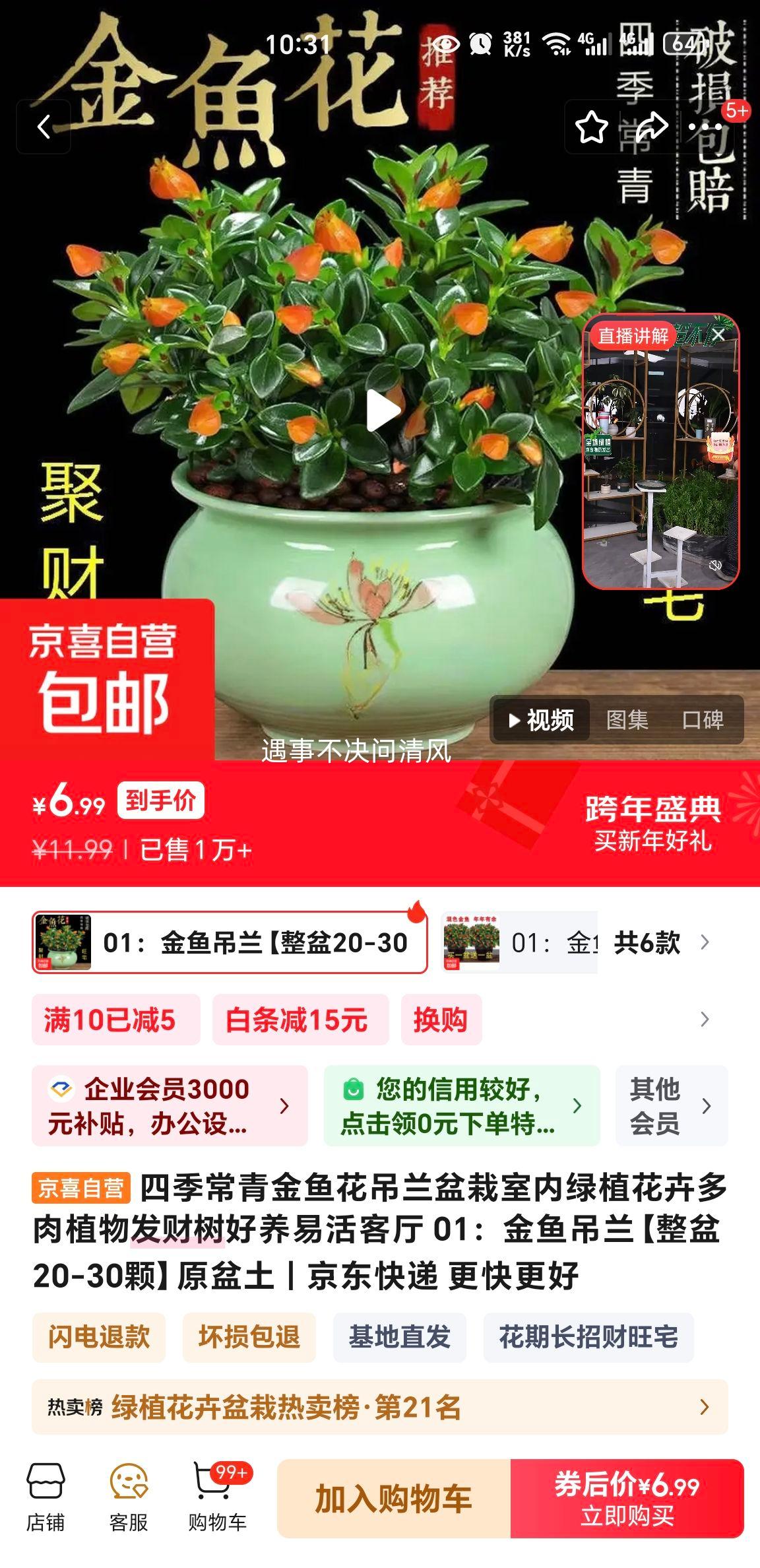 ������� ����������ֲ ����ֲ�� ������ �����׻� ���� 01 ����20-30�� ԭ�����Ż�֤��