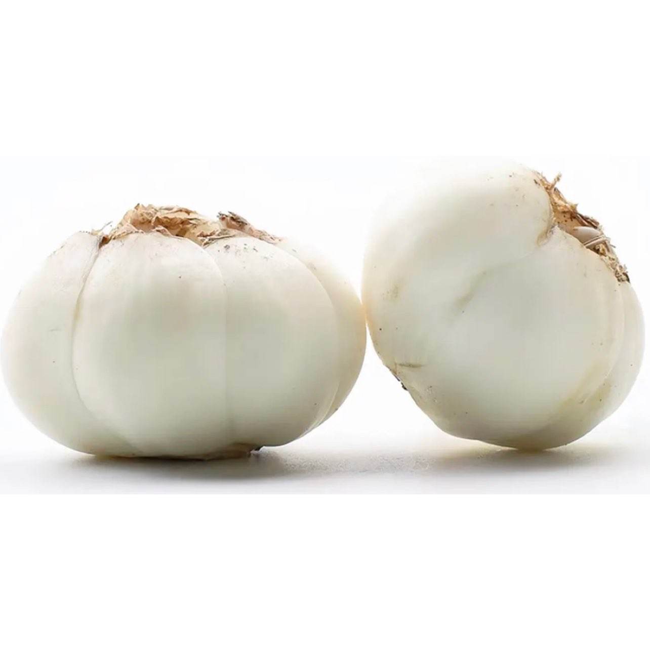 С���ֻ� �����ʰٺ� ������ͥװ12-15ͷ*1��250g 38.6Ԫ������ȯ����19.3Ԫ/����