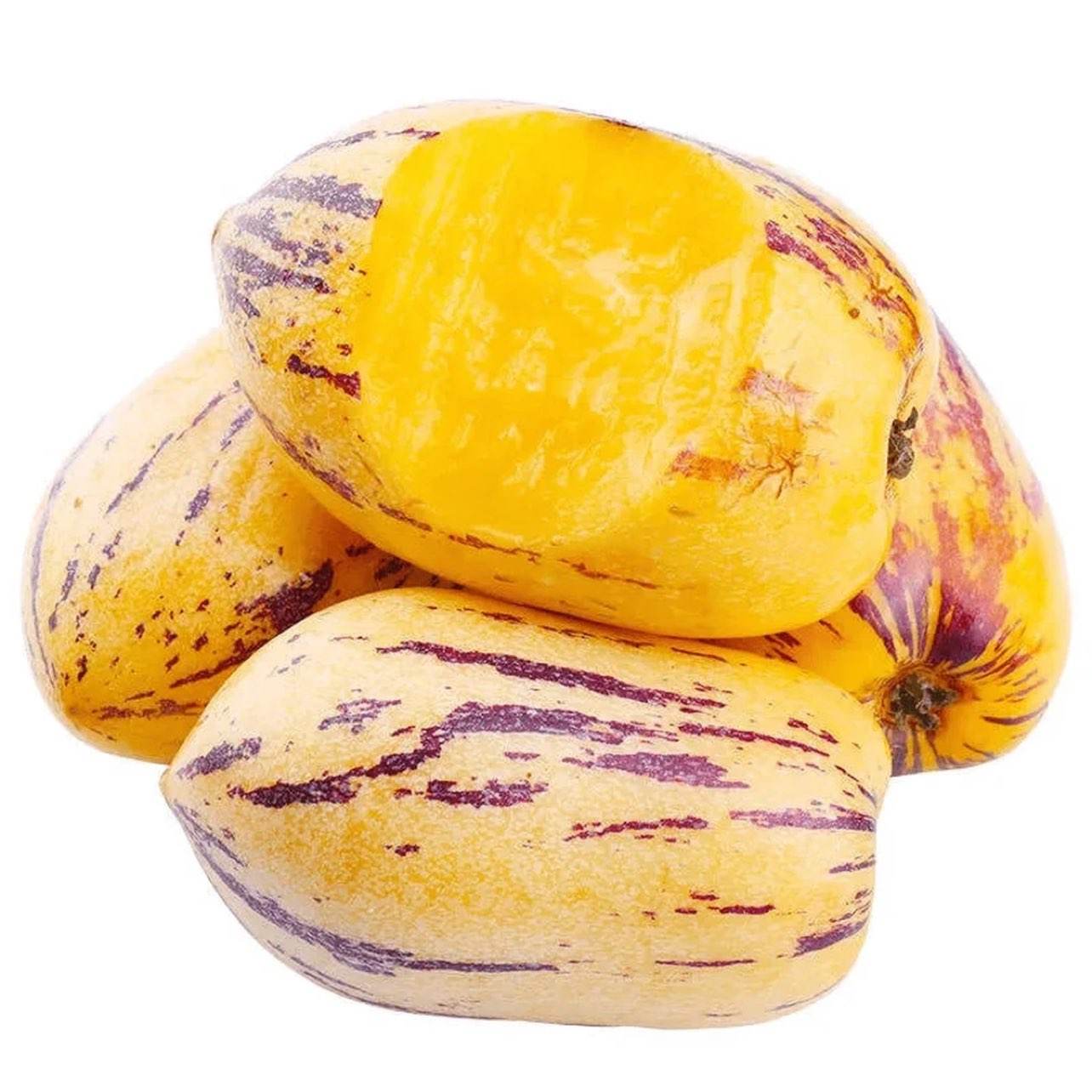 ���� ���������������˲ι� ����3�� ����100g+���    16.9Ԫ