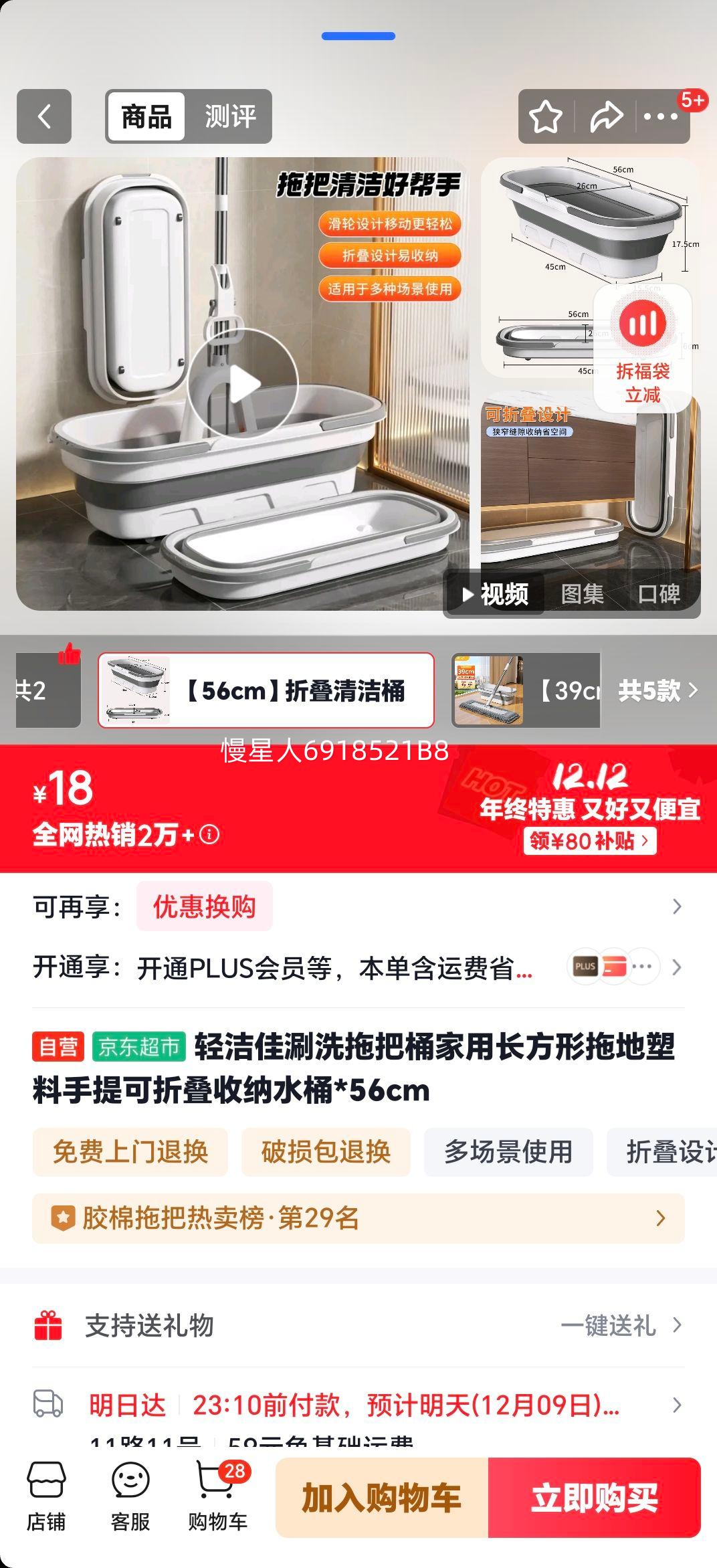  ϴϰͰ ó۵ˮͰ 56cmŻ֤