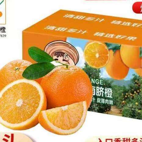 �ʹ����� ������� ����ˮ�� �ְ���� ���װ 10�ﵥ��70mm+����9�� 14.9Ԫ(����ȯ) ����