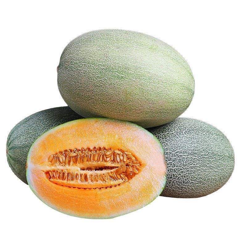 ����5�����ں��Ϲ��ܹ�����Ӧ���۹�ˮ�����������۰��� 6.9Ԫ