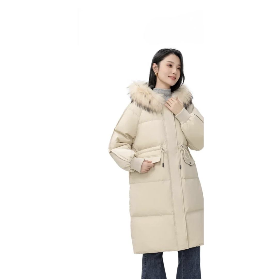 V ﶬë캫汣ůʱаٴɰñ޷Ů 282Ԫ(ȯ)