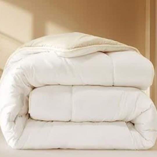 ˿ BLISS ޽100%ëӺ񿹾6-7 139Ԫ(ȯ)