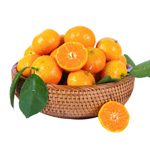 �ٽ��ۣ������� ɰ����/ɰ�ǽ� 5�� ����ˮ�����
 49.8Ԫ(����ȯ����24.9Ԫ/��)