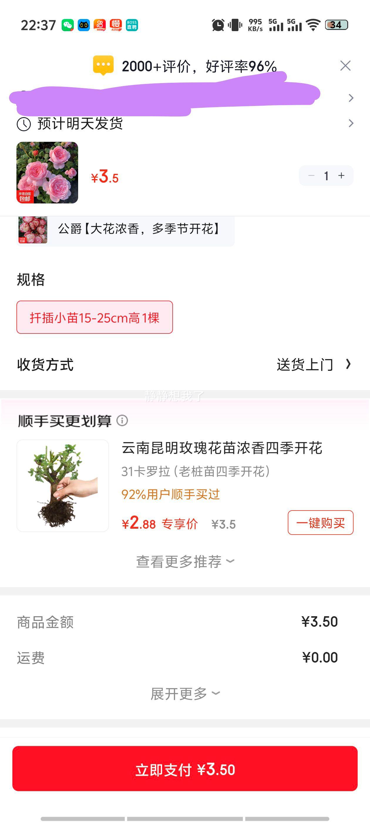 ¼ļŨ͹ľ¼ͥԺ̨Եõ廨 ŮŨ㣬༾ڿ ǤС15-25cm 1Ż֤