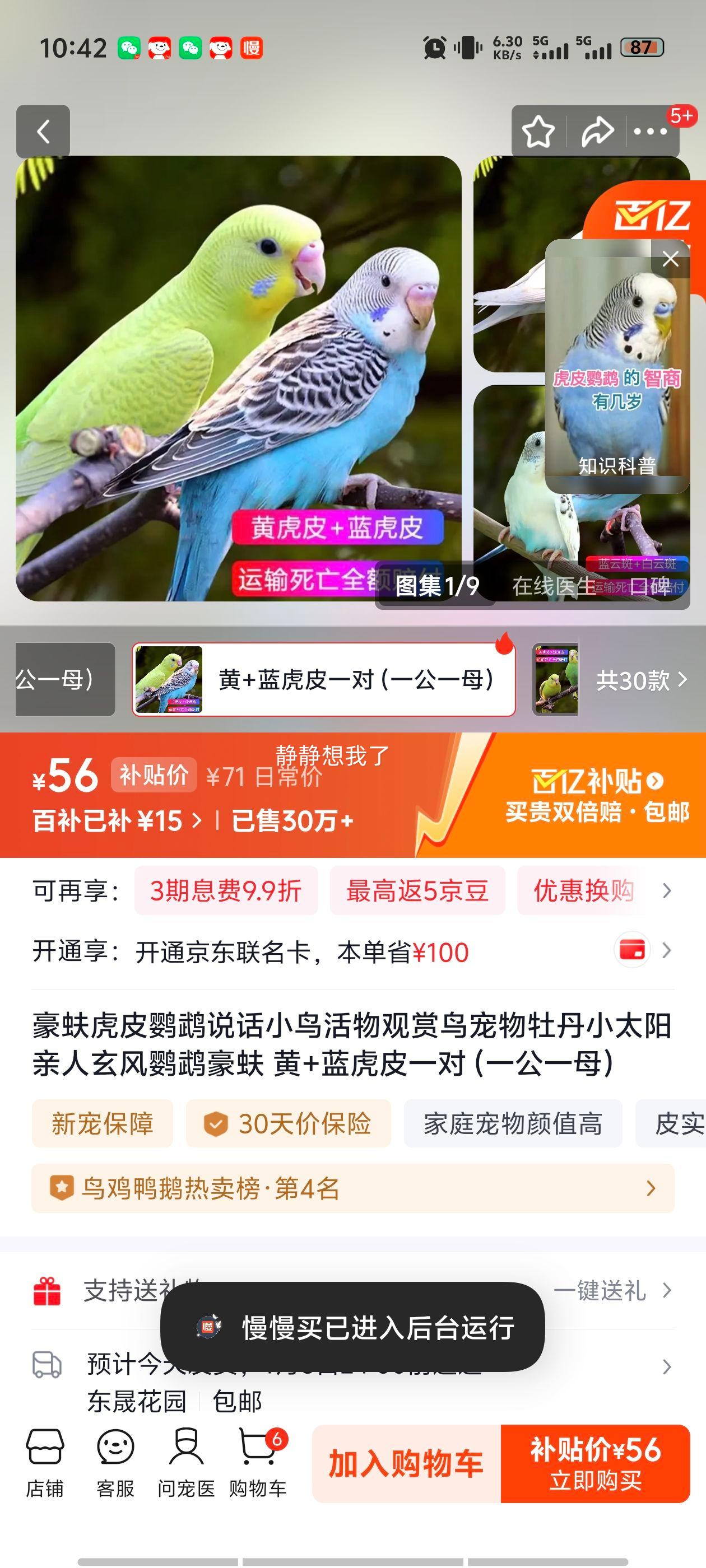 ��� ��+����Ƥ���� һ�ԣ�һ��һĸ�� ���ͳ����� ��������ĵ��С̫���Ż�֤��