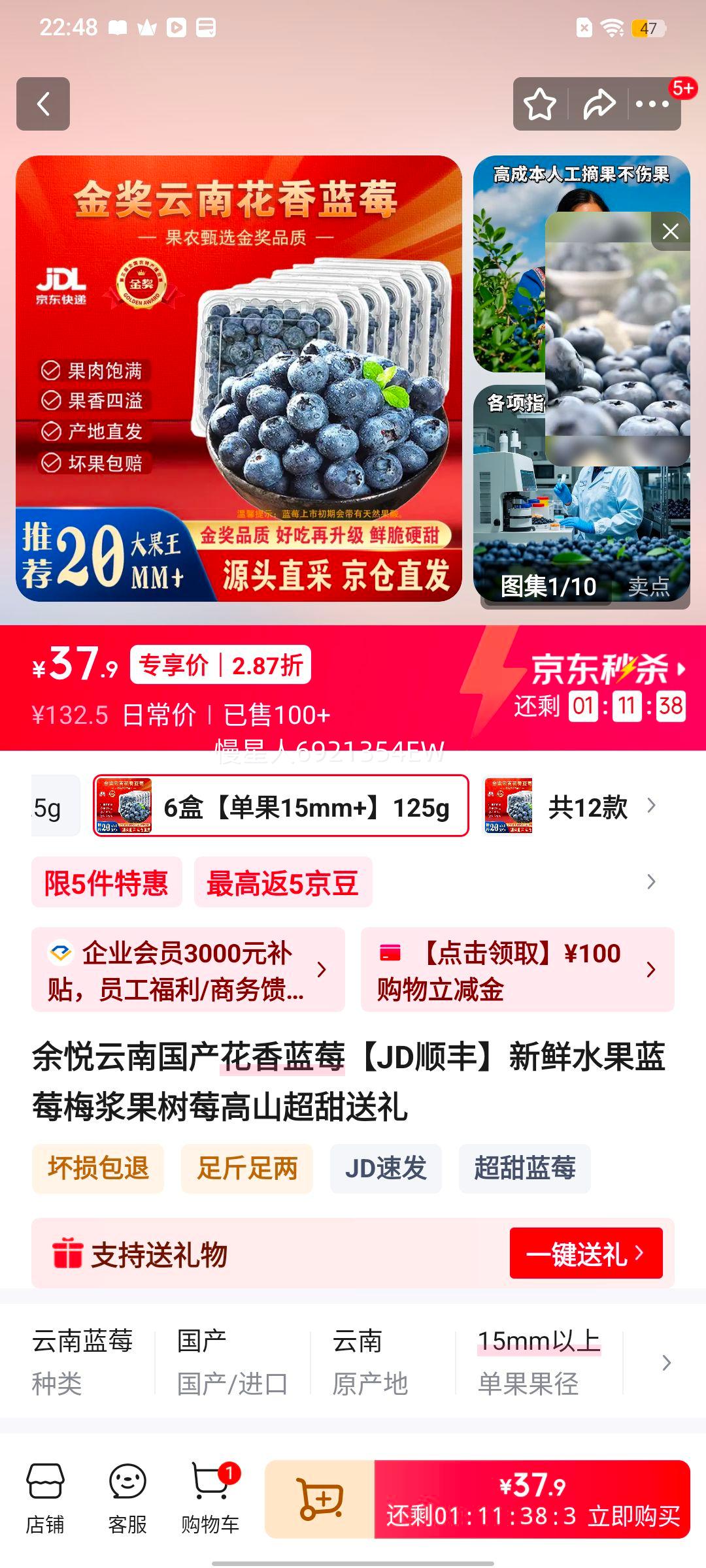 ���� ���Ϲ���������ݮ 6�� 125g/�У���100g�� ����15mm+ ��ɽ���� �����Ż�֤��