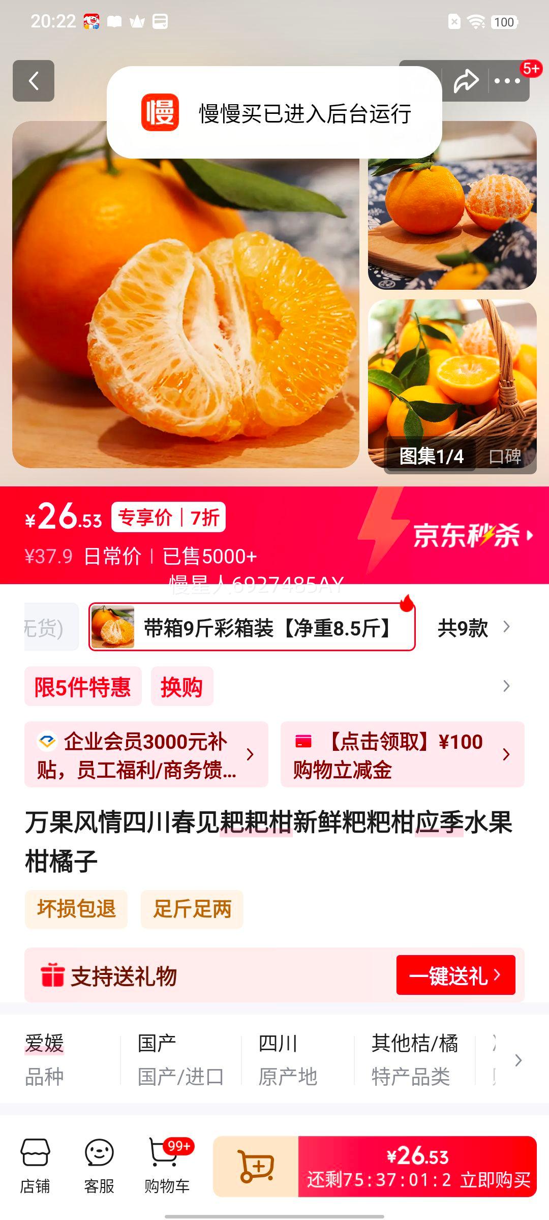 ������� �Ĵ������ҰҸ� ���ʸ����� ����9�����װ ����8.5�� ����80mm+�Ż�֤��