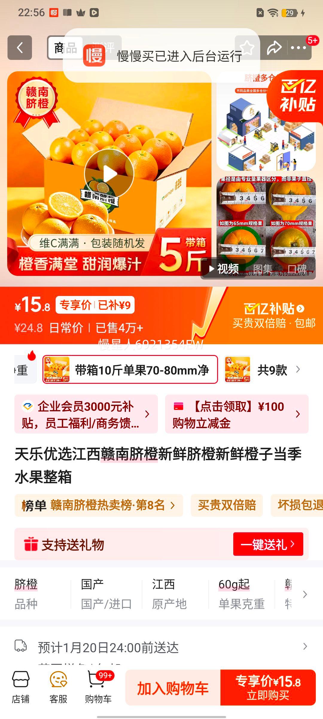 ������ѡ ����������� ���ʳ��� ����ˮ�� �������10�� ����70-80mm ����9���Ż�֤��