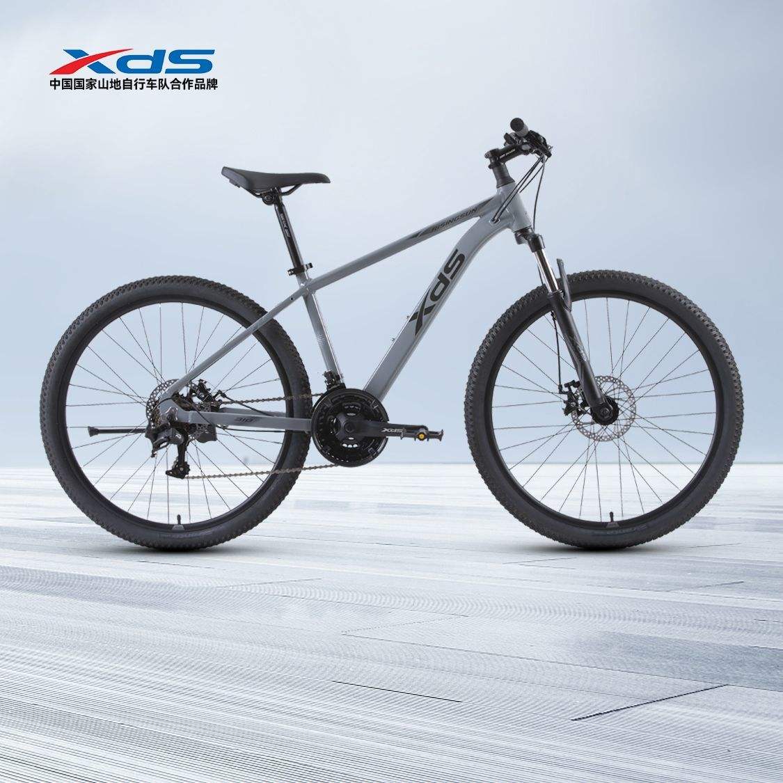 �ٽ��ۣ�XDS ϲ��ʢ ɽ�����г� 2026�� ����310���Ͻ𳵼�21������ͨ��814.9Ԫ