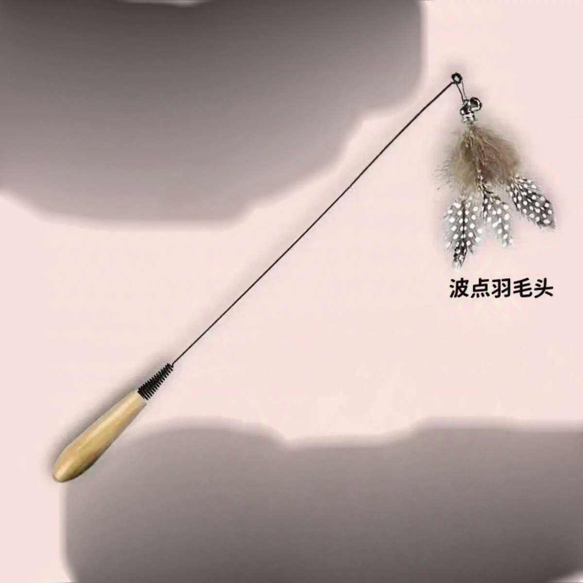 ϲӪ-49CMʵľè+1ë1.9Ԫȯ