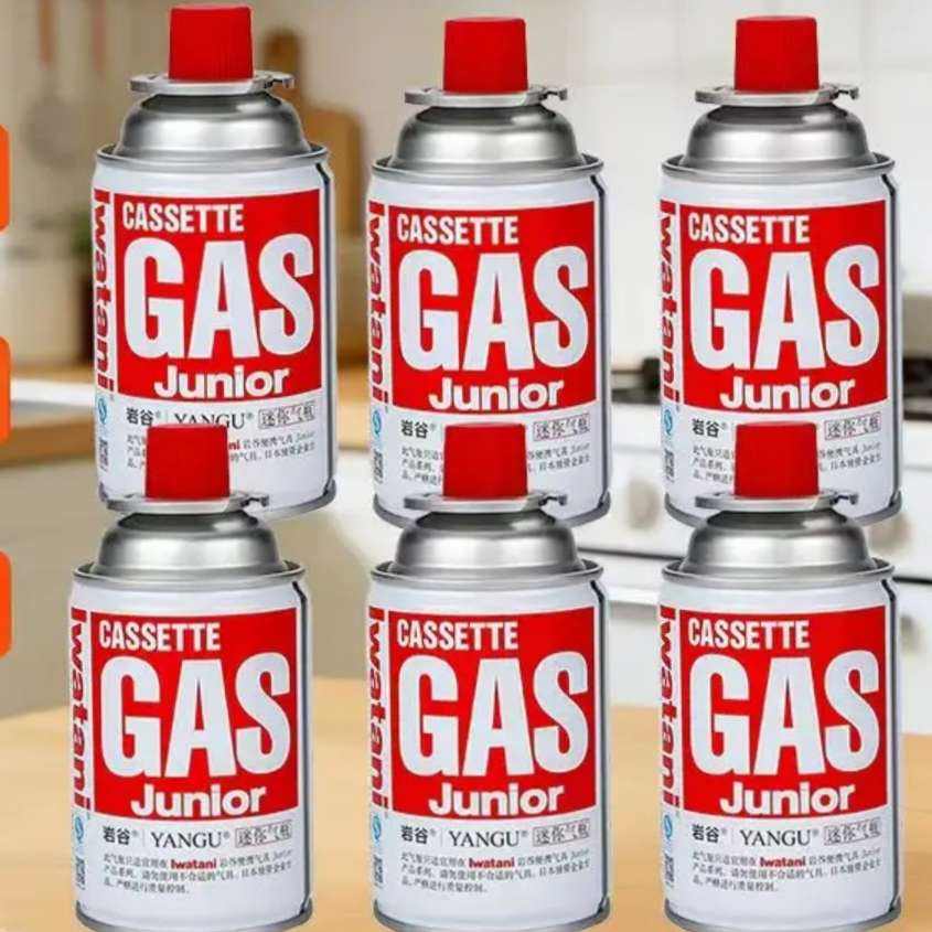 �ҹ�Iwatani ��ʽ¯ ԭװ����120��*642.6Ԫ(����ȯ)