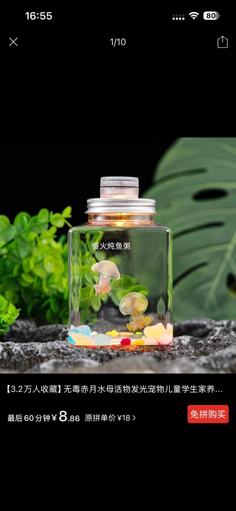 �޶�����ˮĸ���﷢������ͯѧ��������������������˶���ѧ���Ż�֤��