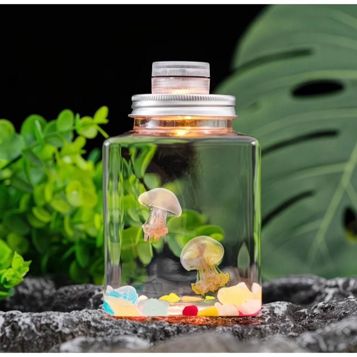 �޶�����ˮĸ���﷢������ͯѧ��������������������˶���ѧ�� 12.99Ԫ�޶�����ˮĸ