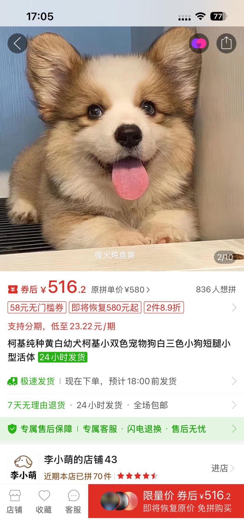 �»����ֻư���Ȯ�»�С˫ɫ���ﹷ����ɫС������С�ͻ����Ż�֤��