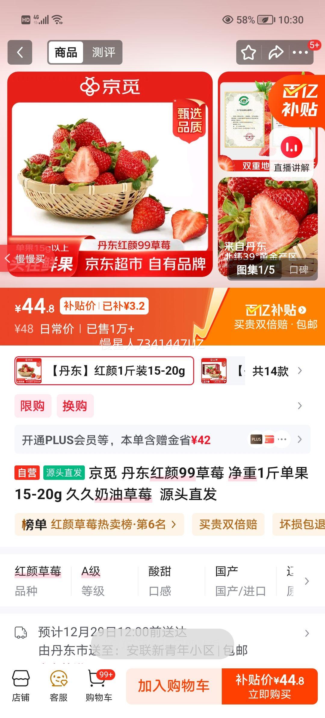 ���� ��������99��ݮ ����1�� ����15-20g ���Ͳ�ݮ Դͷֱ���Ż�֤��