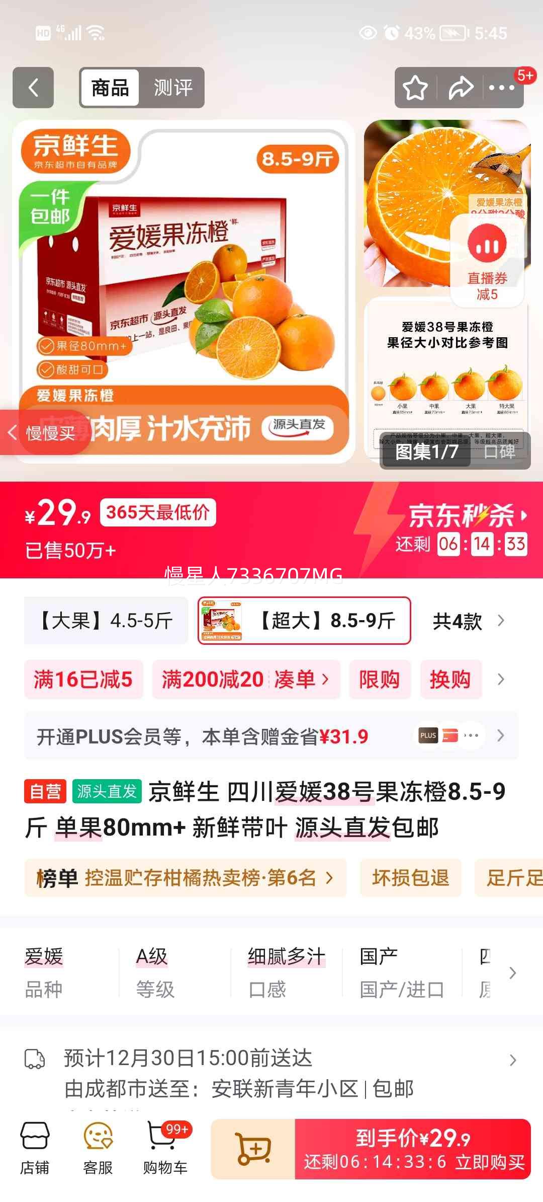 ������ ����38�Ź����� 8.5-9�� ����80mm+ ���ʴ�Ҷ Դͷֱ�������Ż�֤��