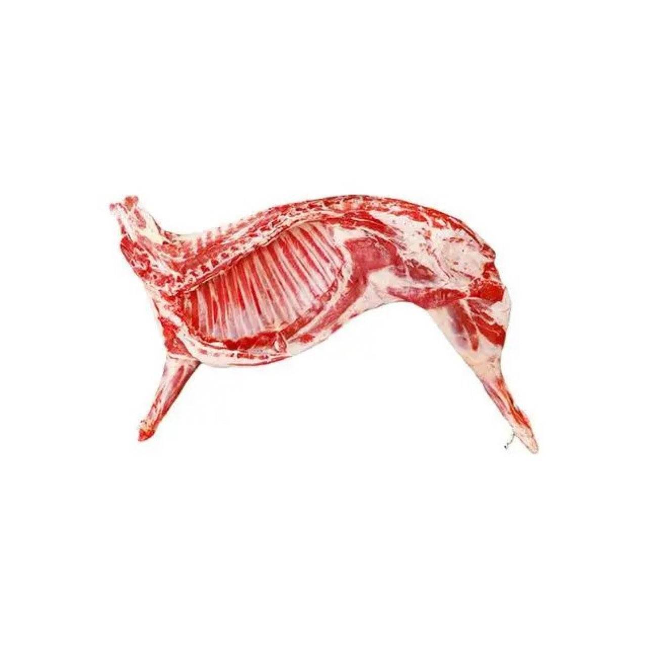 ���� ����̲���� ��ֻ���� ������  ����6�� 158Ԫ(����ȯ)