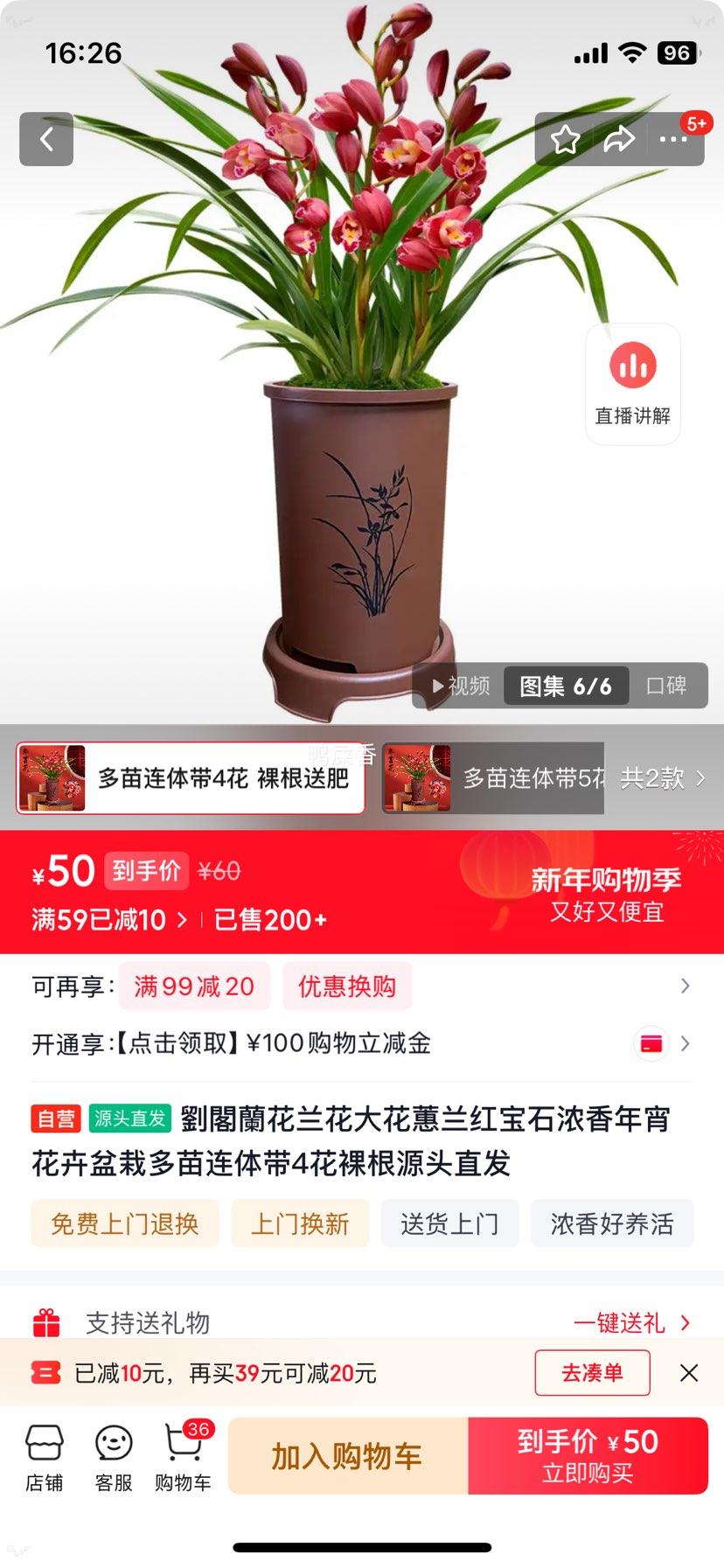 ���w�m�� ��ޥ�� �챦ʯ Ũ�������������� ���������4�� ���Դͷֱ���Ż�֤��