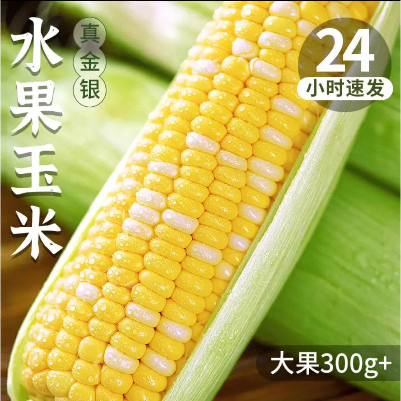 ����� ����ˮ������ ��ժŴ���װ��� 5�ﾫƷװ ����300g+��4.5�� 10.9Ԫ/����5��