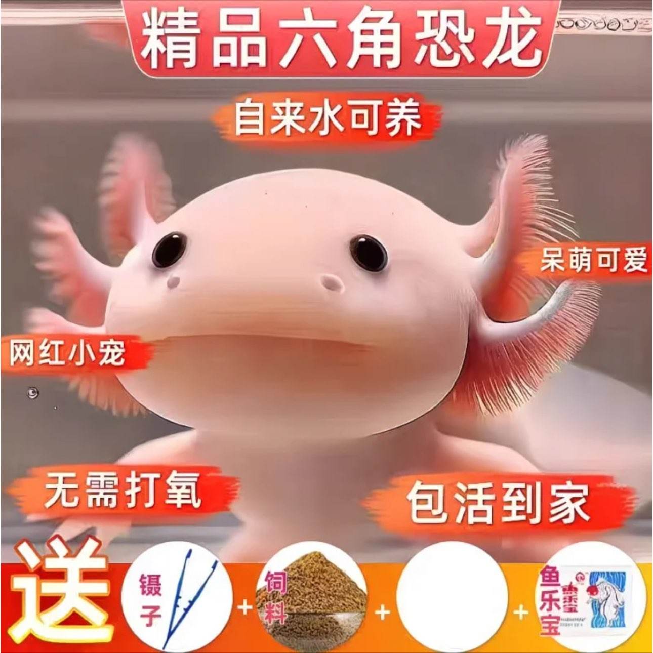 ���ǿ����������������ˮ���㵭ˮ�����˳�������ͻ���ˮ���� 2.79Ԫ 6 �ǿ���������