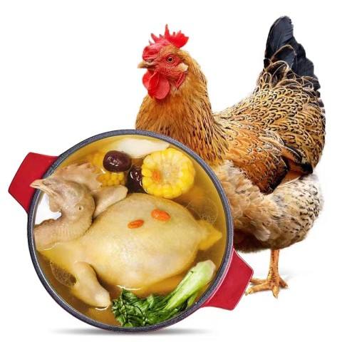  ĸ1.2kg*141.18Ԫȯ20.59Ԫ/