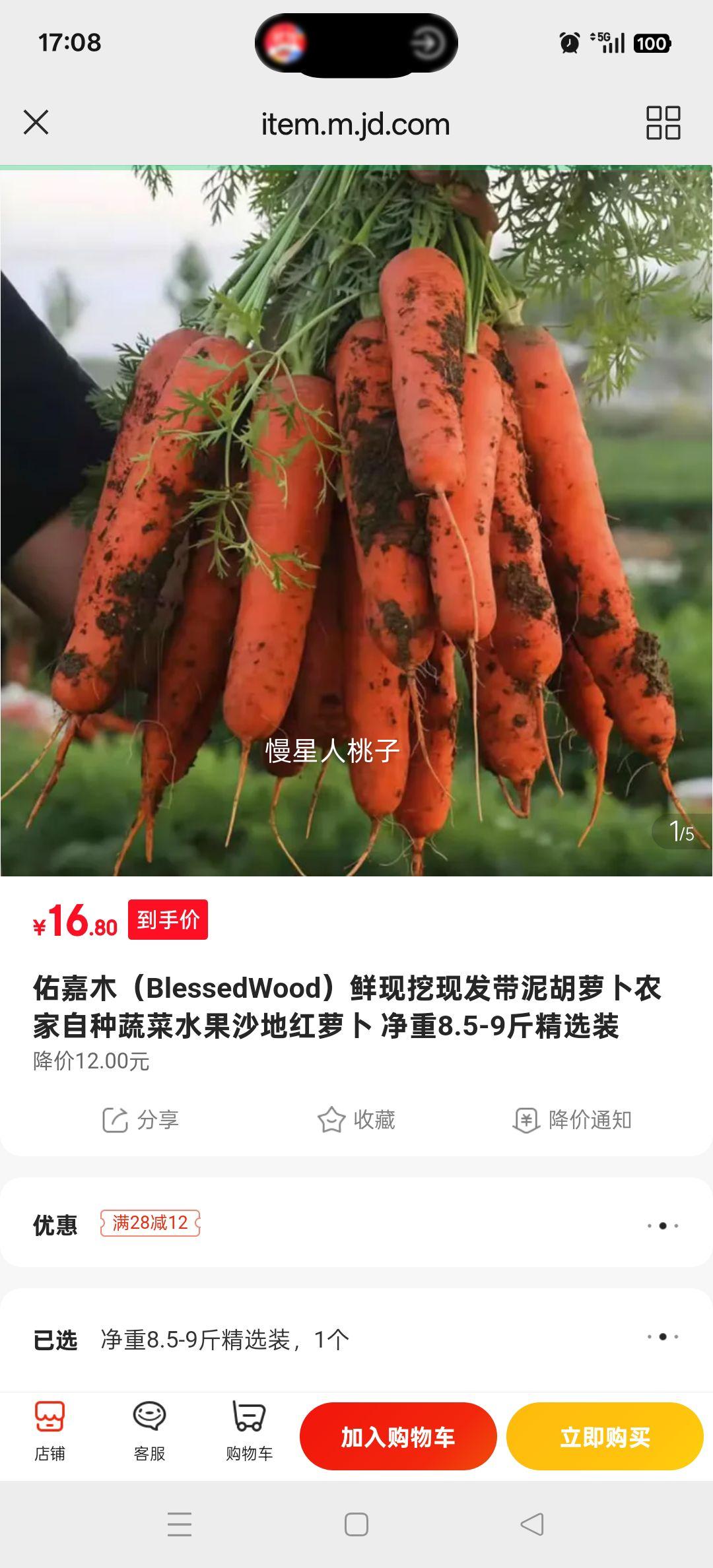 ӼľBlessedWoodַܲũ߲ˮɳغܲ 8.5-9ﾫѡװŻ֤