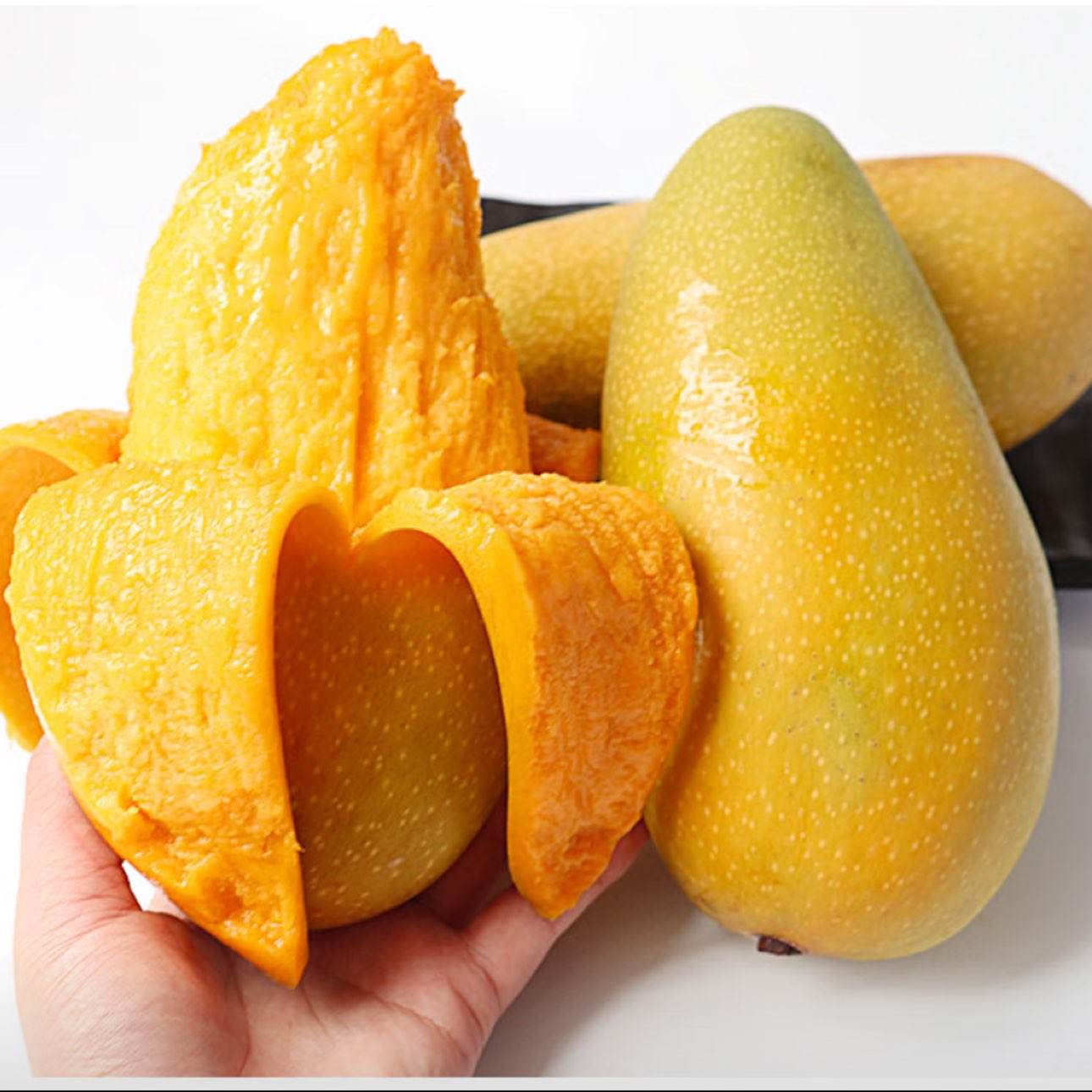 ��ӭ ���ââ�� 5�ﾫѡ�� ����200g+ ��4.5�� ���������2.87Ԫ/�12.9Ԫ�������