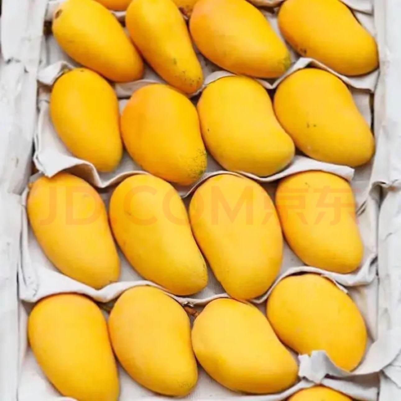 ��ϲ�� ����̨â ����â�� ����9��70+ ��2.1Ԫ/�18.9Ԫ����9�