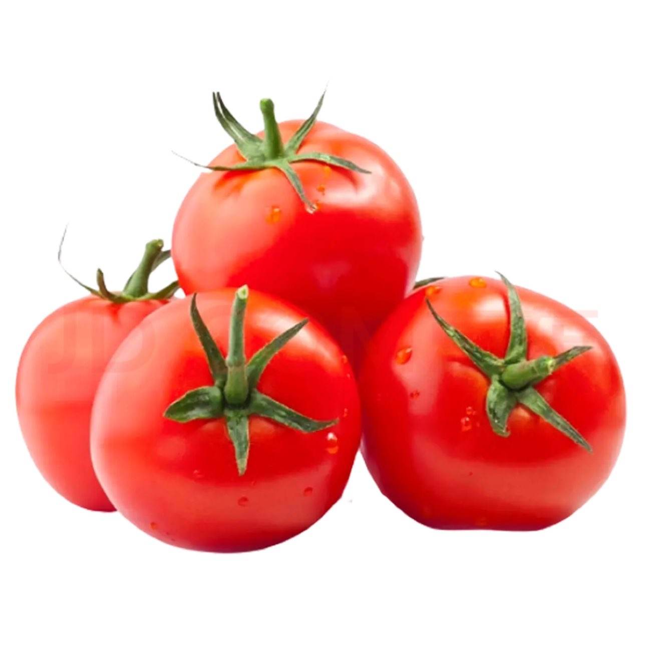 ����ɳȿ���� ������������ ������100g ����3�� ��1.97Ԫ/�5.9Ԫ��3��