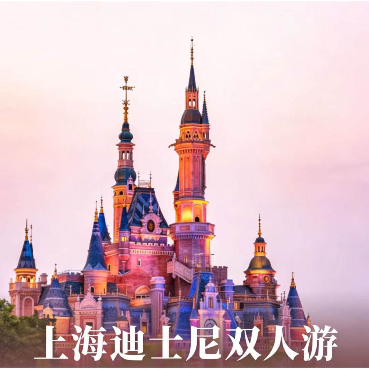 ���� ���/�Ƕ�Ƶ�2�� ��˫��+�Ϻ���ʿ��2������Ʊ+����+��Ʒ ˫��2����Ʊ���˾�292Ԫ/����ԭ��1971Ԫ �ֽ�1168Ԫ