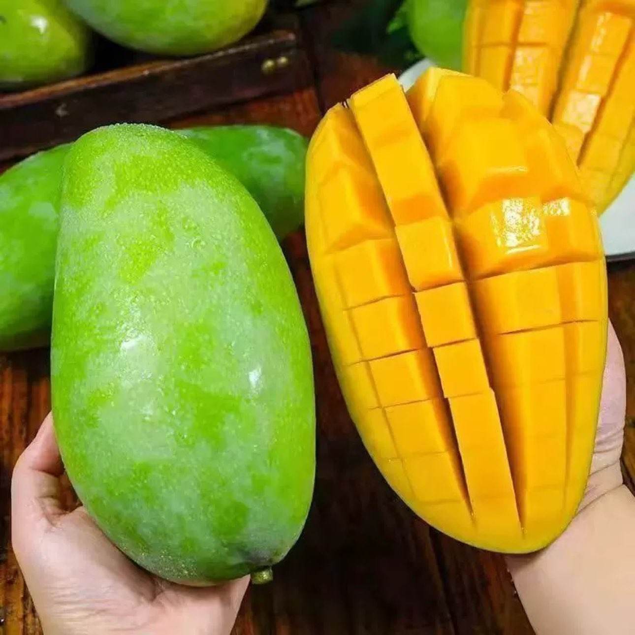 �׷� Խ��â�� ��ʹ���Ƥ��â 5��װ ����300g+ ������2.56Ԫ/�12.8Ԫ/����5��