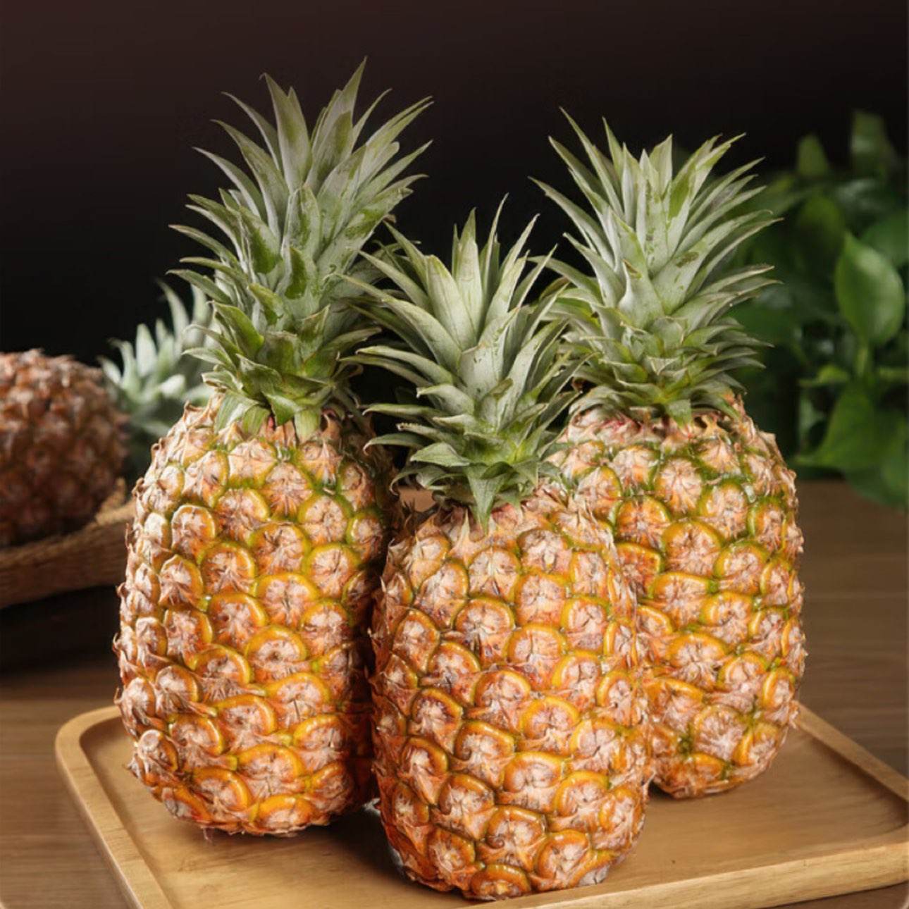 �������ٽ��ۣ����Ͻ������ ����5�� ����4.5�� ����650g��