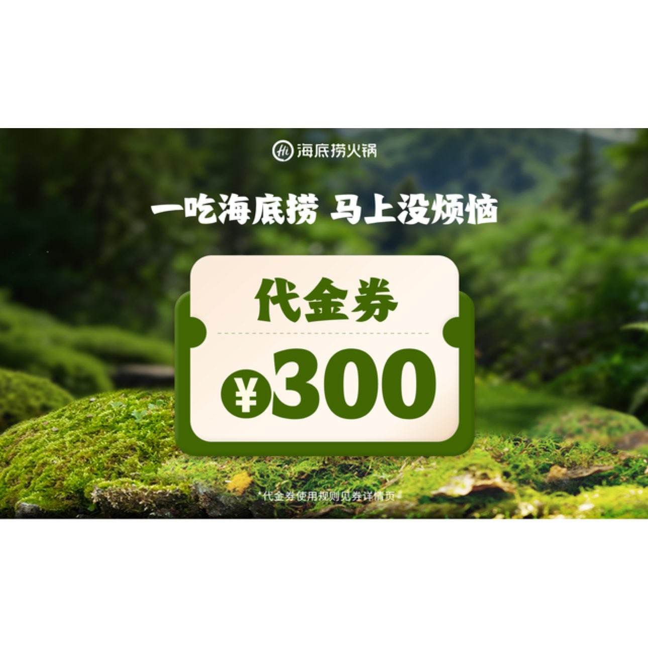 ������ 300Ԫ����ȯ ��1��    234.9Ԫ