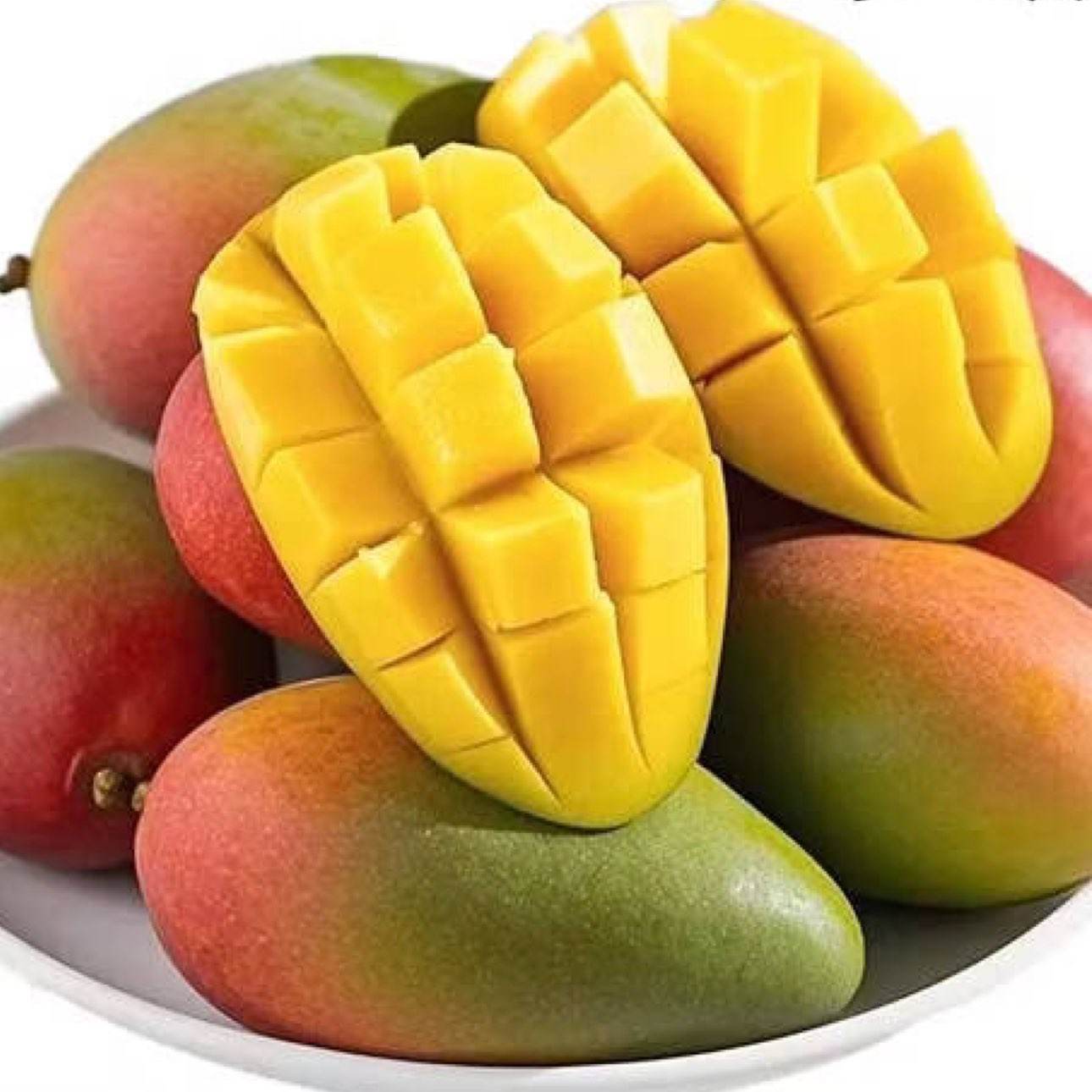 ���ں��Ϲ���â ���ʵ���ˮ�� �ʺ����â�� ����3�� ����2.5�� 5.9Ԫ/�������
