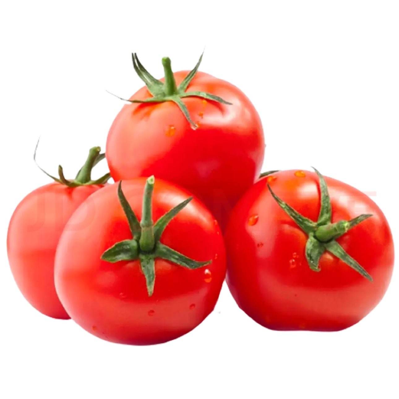 ɳȿ������ ˮ������ ���������� 5�ﾻ�� ����100������ 9.9Ԫ/������