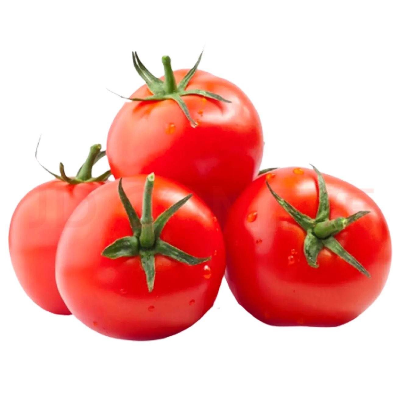 ����ɳȿ���� ���������� ������ͼ�ʳ�߲� 3�ﾻ�� 5.79Ԫ/����3�