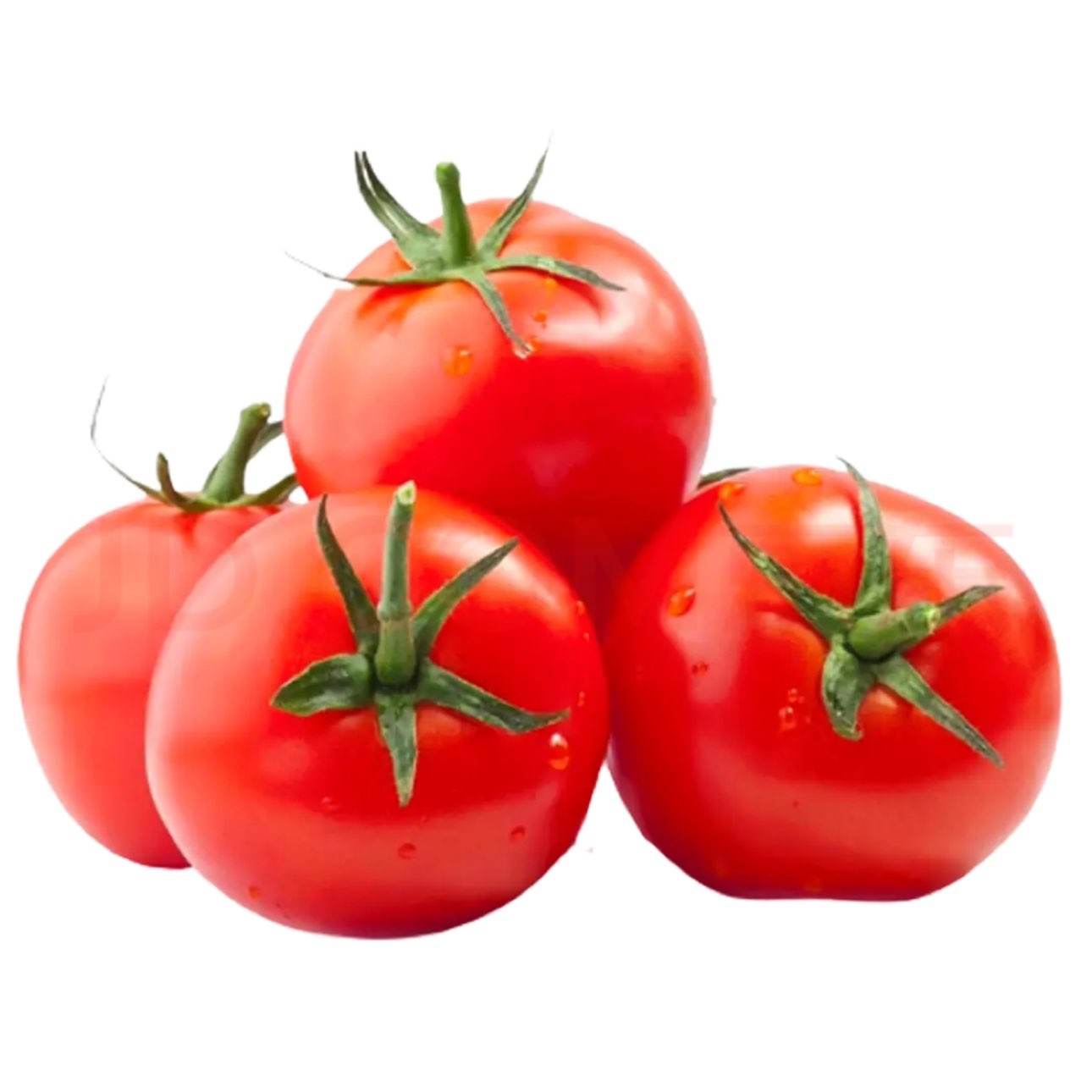 ũ������ɳȿ������ �й�80��+ 4�� ���ʿ�����ˮ������ 5.9Ԫ/����4�
