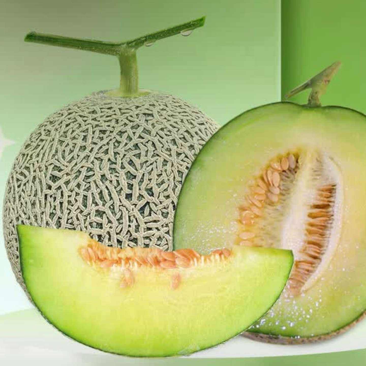 �������ڲ���:������ �����۹� ����4-5�� 2-3�� 19.9Ԫ