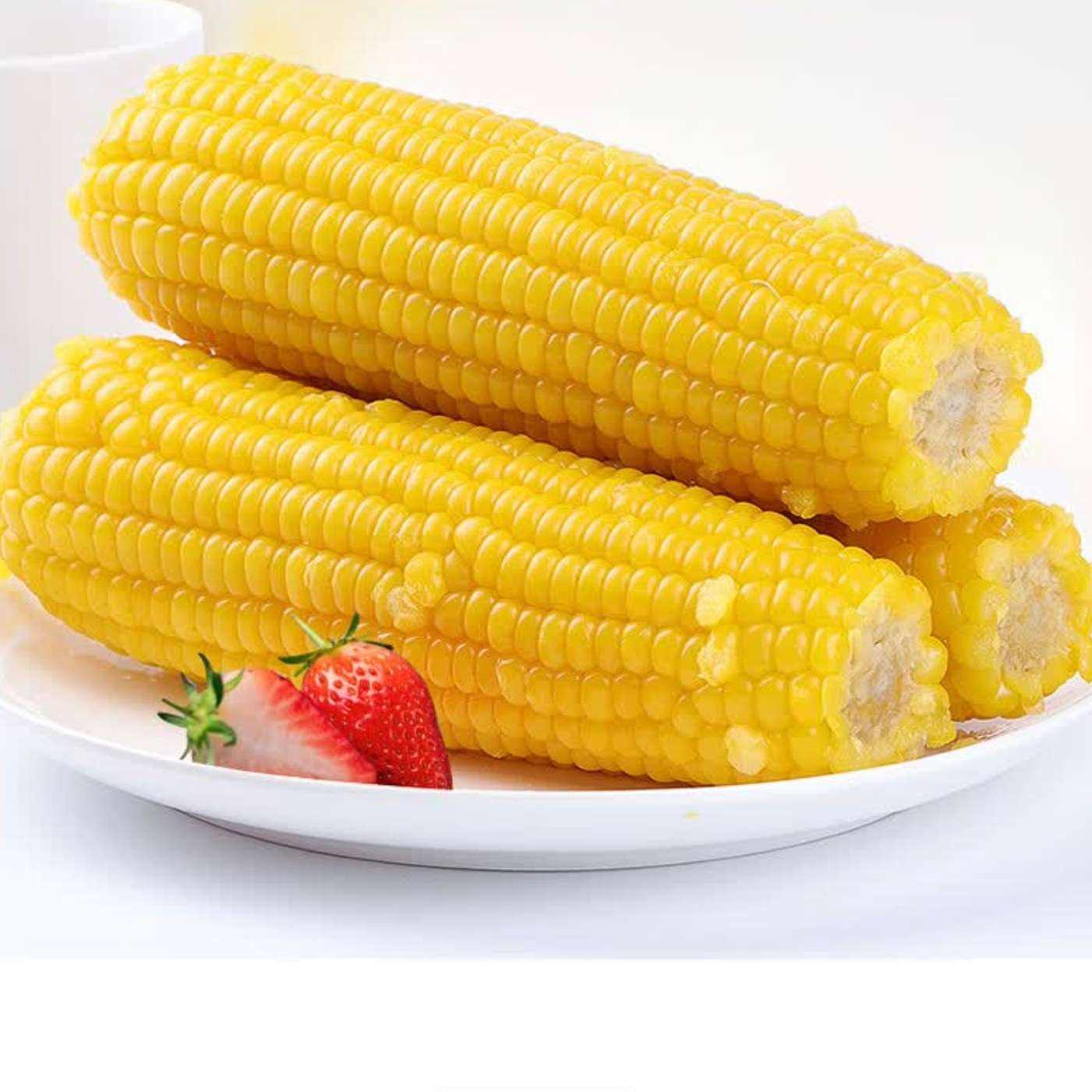 ����ջ� ����Ŵ���� ��Ŵ����12֧ ��֧180g+ 15.99Ԫ(����ȯ)