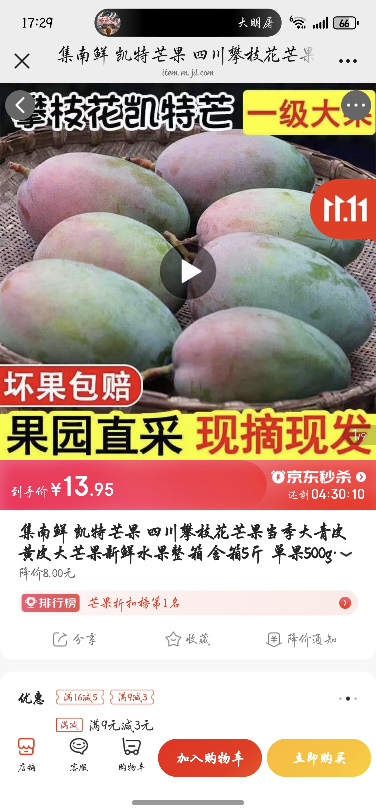 ������ ����â�� �Ĵ���֦��â����������Ƥ��Ƥ��â������ˮ������ ����5��  ����500g��  ����4.5���Ż�֤��