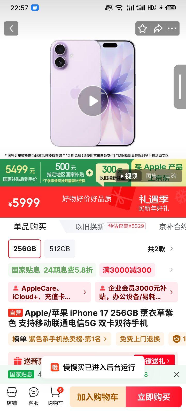 Apple iPhone 17 �ֻ� ˫��˫�� ޹�²���ɫ 256G�Ż�֤��