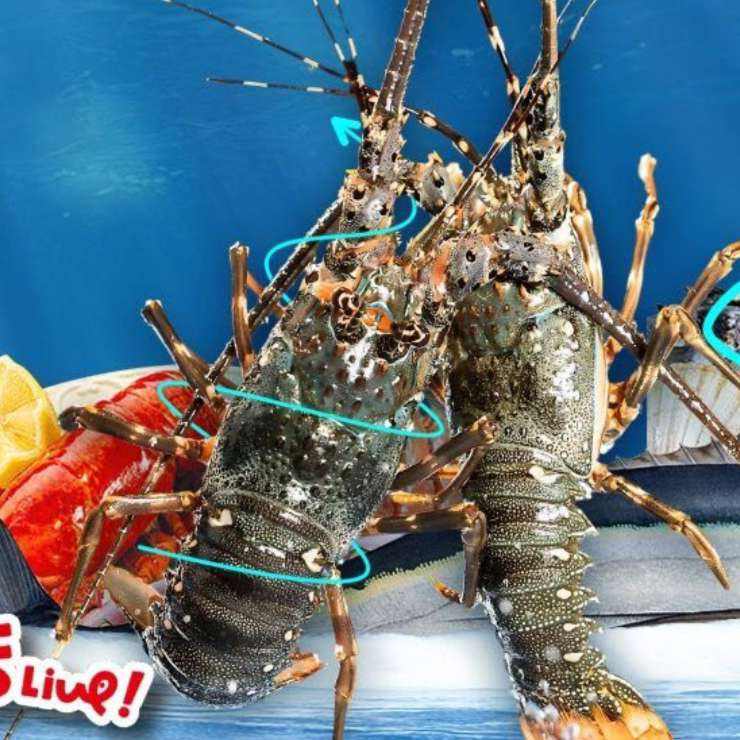 ���������� ���ڲ����ȡ�˫��ȯ�����ӡ�������� 458Ԫ������ֵ�������ڲ����ȡ�˫��ȯ�������ӡ�����������ڼ���ͨ��