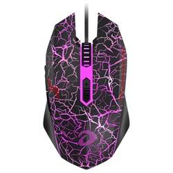 EM915߾羺ϷԱʼǱͨһ55Ԫ