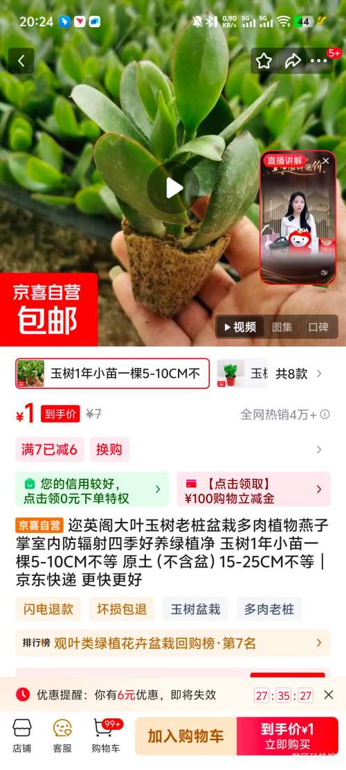  1 С һ5-10CM ԭ裩Ż֤