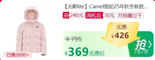 ٽۣ510 Camel ޷¿ů ΧŻ֤